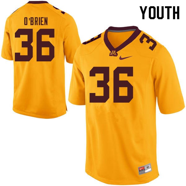 Youth #36 Casey O'Brien Minnesota Golden Gophers College Football Jerseys Sale-Gold - Click Image to Close